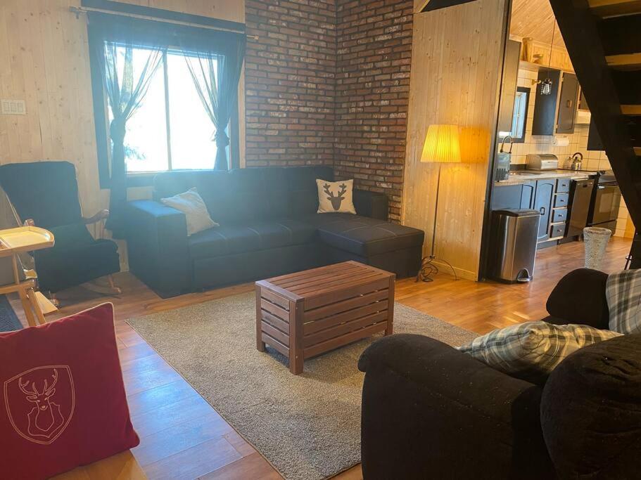 Le Jazz- Chalet Rustique/Chic Avec Spa Notre-Dame-Des-Bois Экстерьер фото
